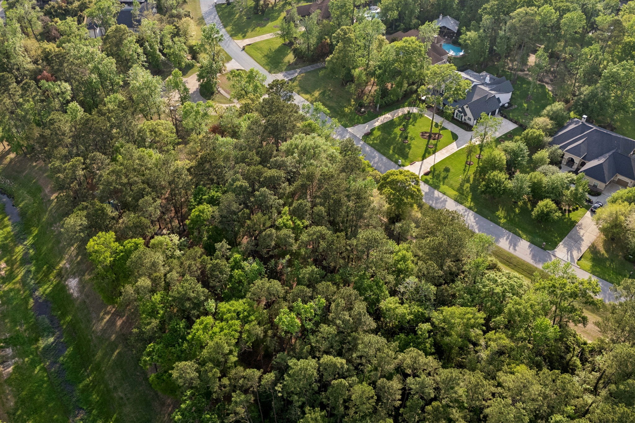 27318 Whispering Maple Way Spring, TX 77386 - Photo 13 of 16 a picture of street