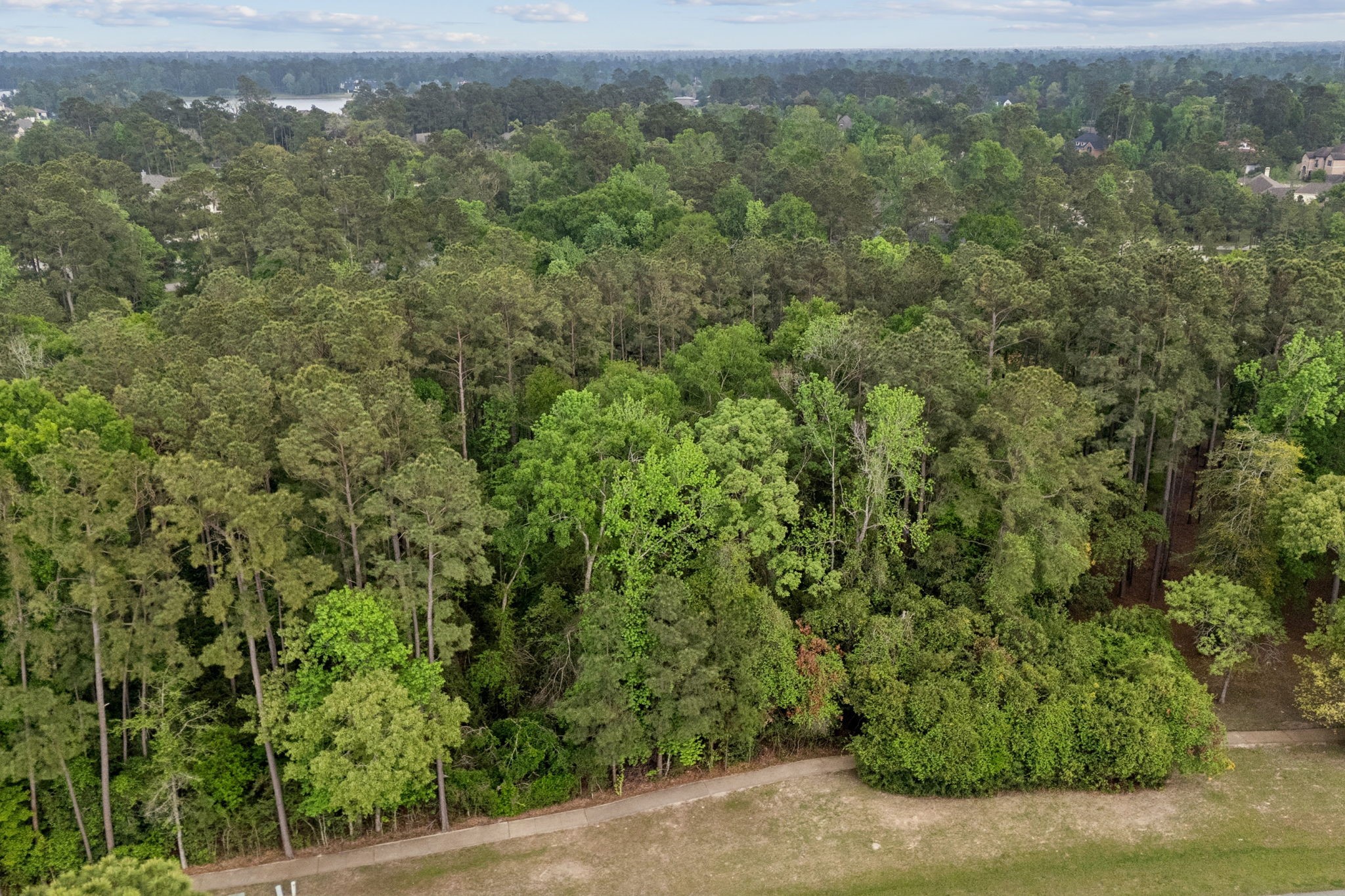 27318 Whispering Maple Way Spring, TX 77386 - Photo 15 of 16 an aerial view of forest