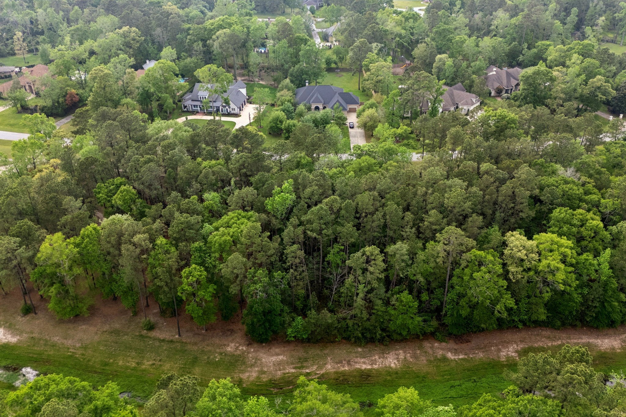 27318 Whispering Maple Way Spring, TX 77386 - Photo 16 of 16 a view of a lush green forest with lots of trees