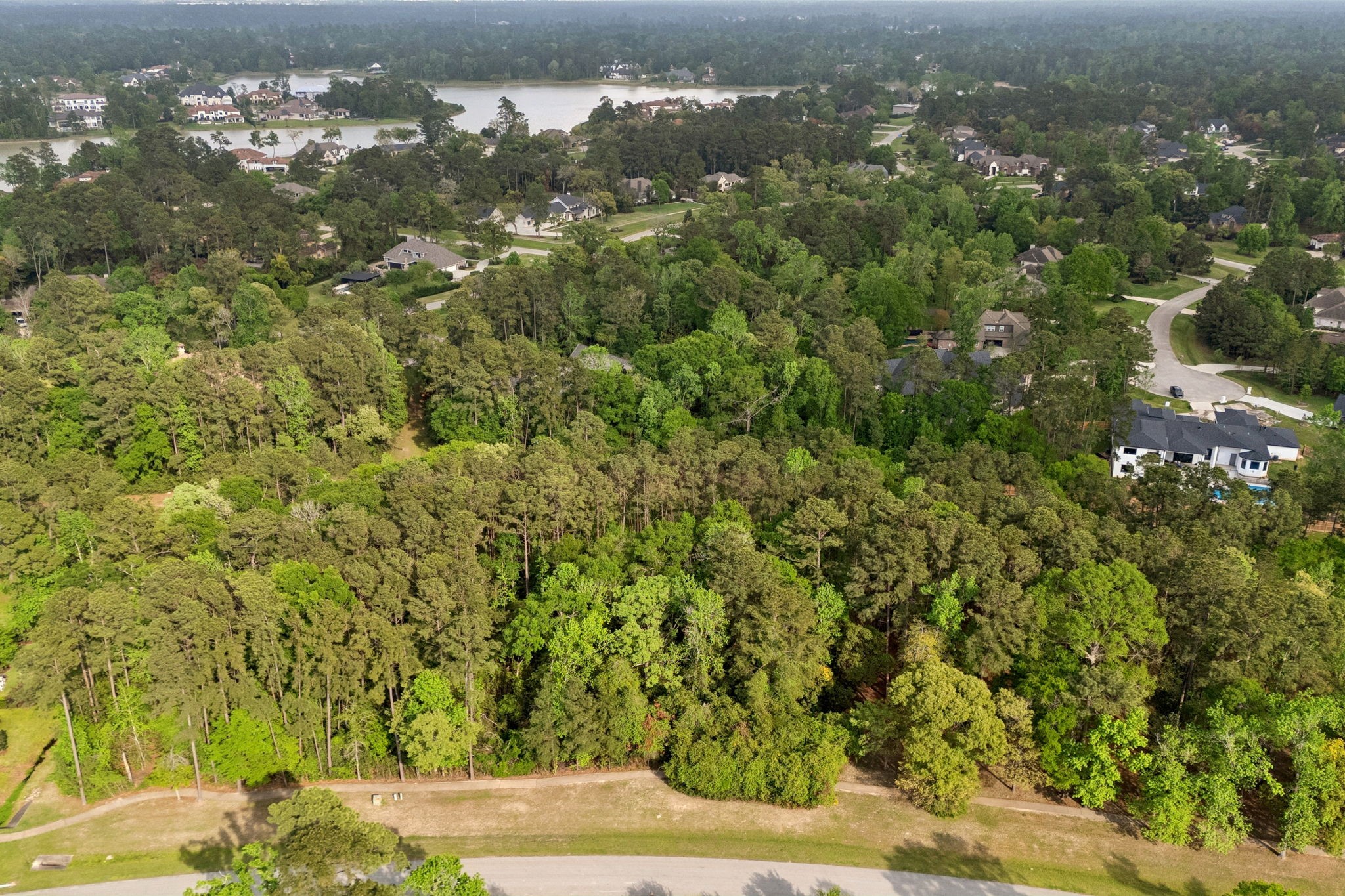 27318 Whispering Maple Way Spring, TX 77386 - Photo 3 of 16 a view of a yard