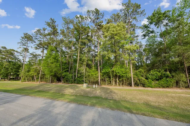 a view of a tree in a yard