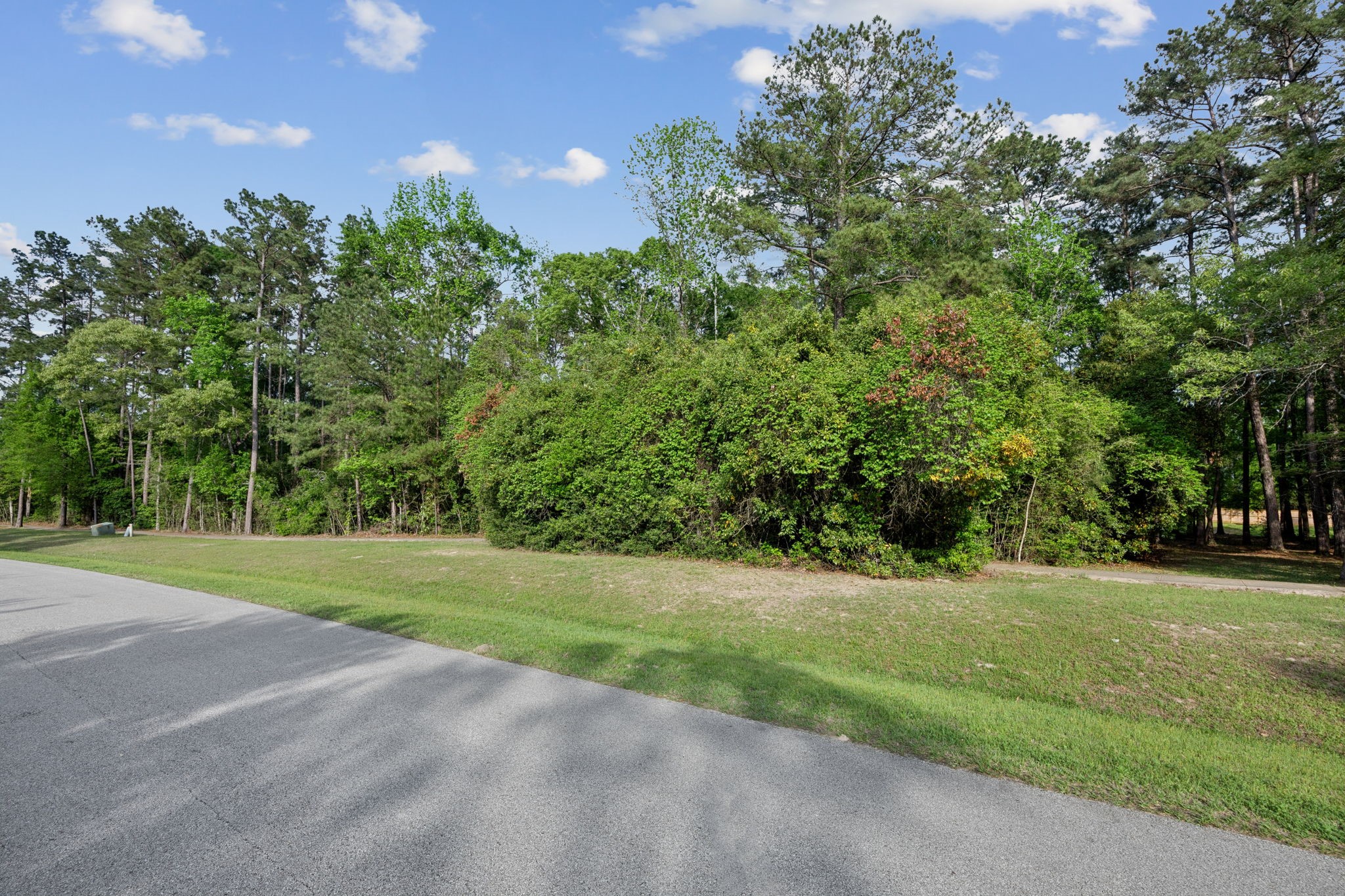 27318 Whispering Maple Way Spring, TX 77386 - Photo 5 of 16 a view of a trees in a yard