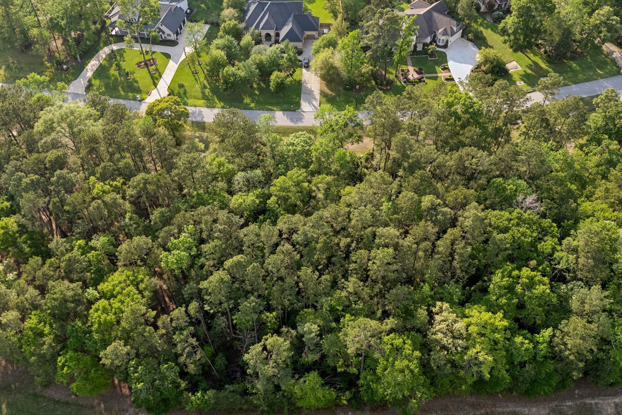 27318 Whispering Maple Way Spring, TX 77386 - Photo 6 of 16