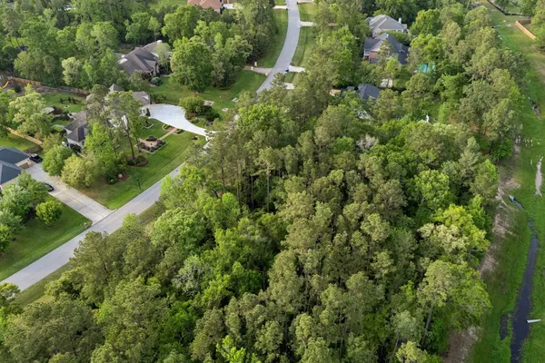 an aerial view of forest