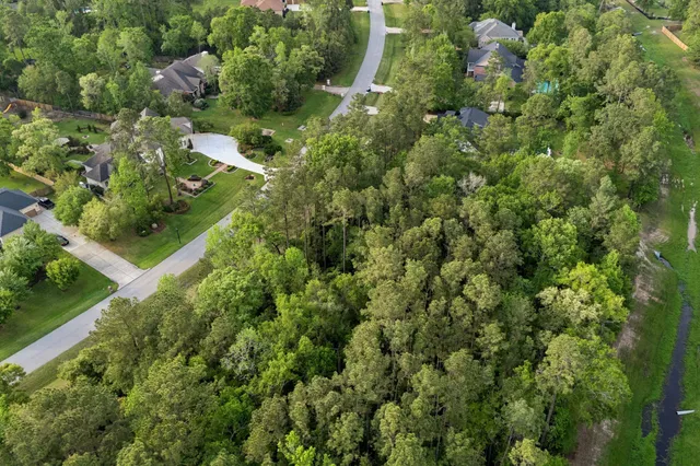 an aerial view of forest