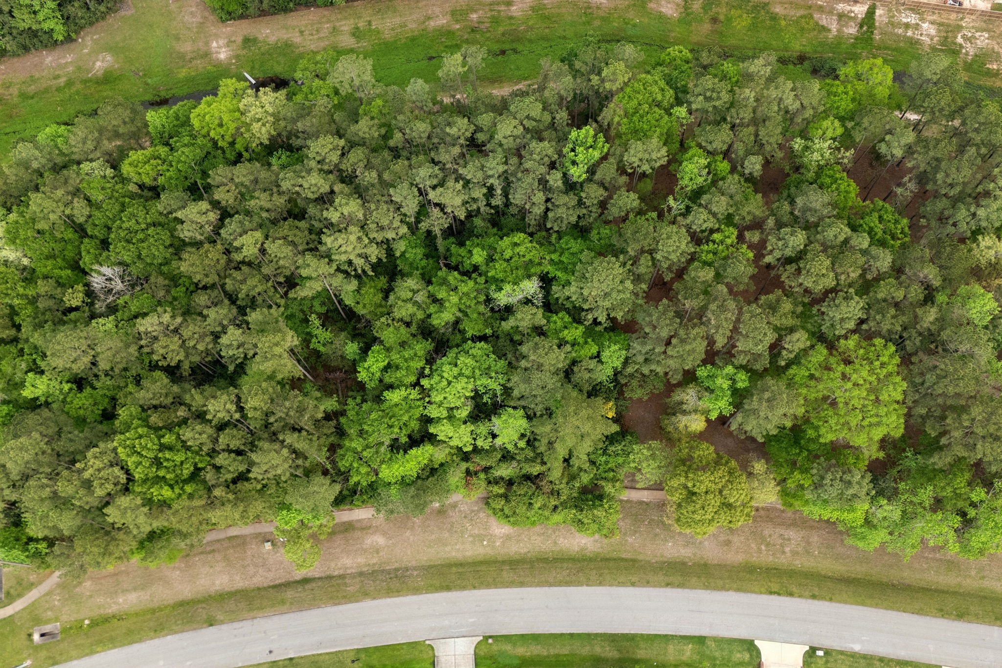 27318 Whispering Maple Way Spring, TX 77386 - Photo 9 of 16