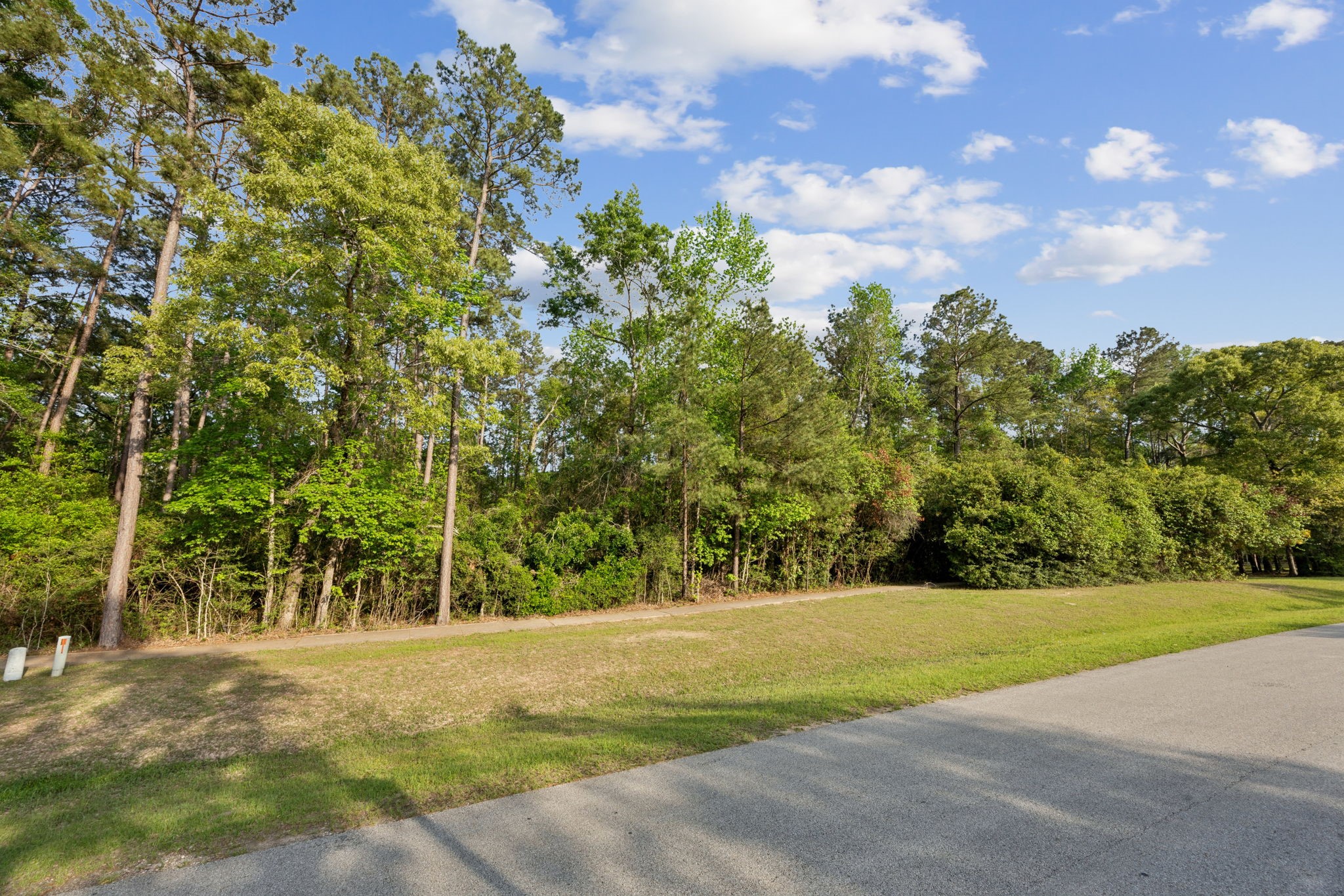 27318 Whispering Maple Way Spring, TX 77386 - Photo 10 of 16 a view of a yard with a trees