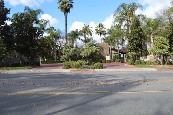 a view of a park that has large trees