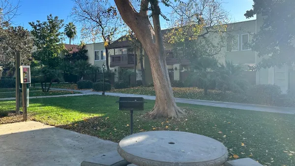 a view of a back yard