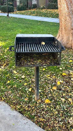 a front view of a yard with swimming pool