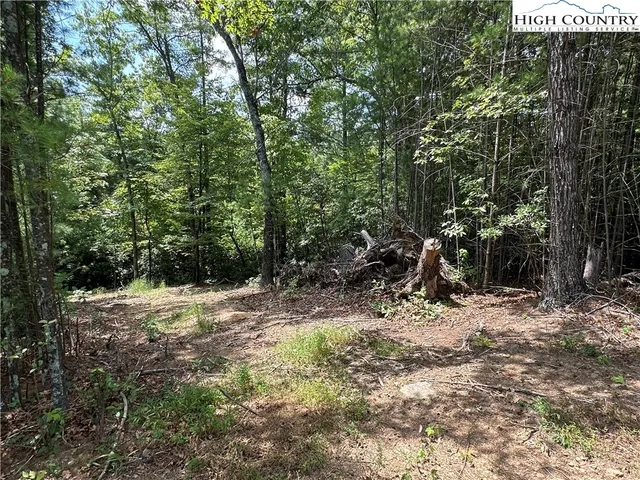 $79,500 | Lot 48 Cascade Run, Purlear, NC 28665