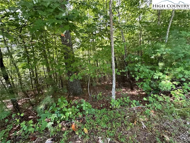 $79,500 | Lot 48 Cascade Run, Purlear, NC 28665