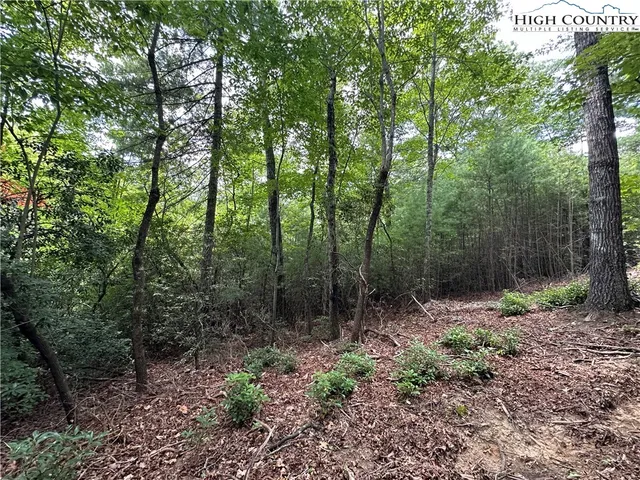 $79,500 | Lot 48 Cascade Run, Purlear, NC 28665