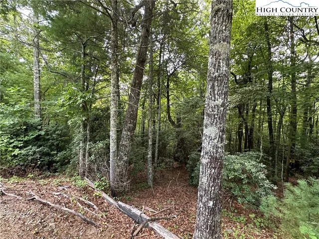 $79,500 | Lot 48 Cascade Run, Purlear, NC 28665
