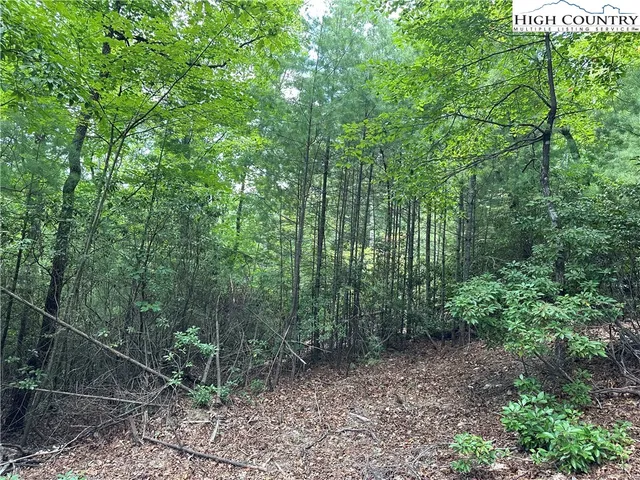 $79,500 | Lot 48 Cascade Run, Purlear, NC 28665