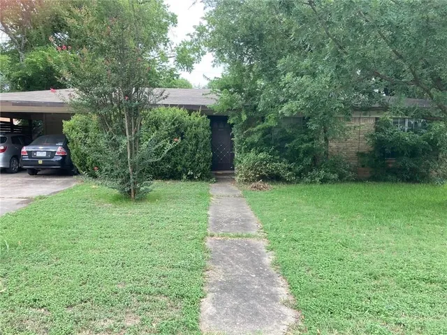 a view of a back yard