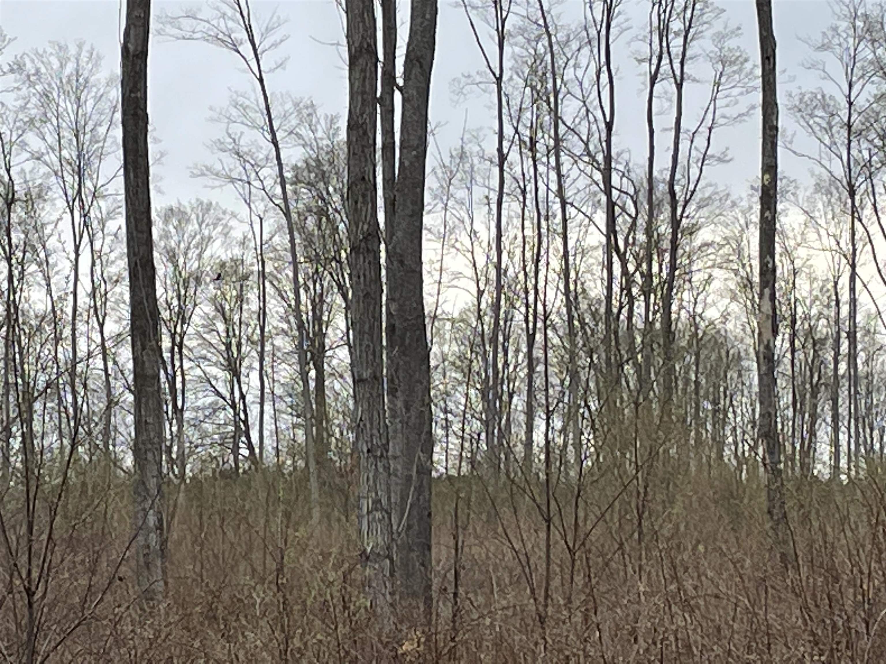 K Summit City Road, Unit LOT: K Kingsley, MI 49649 - Photo 30 of 40