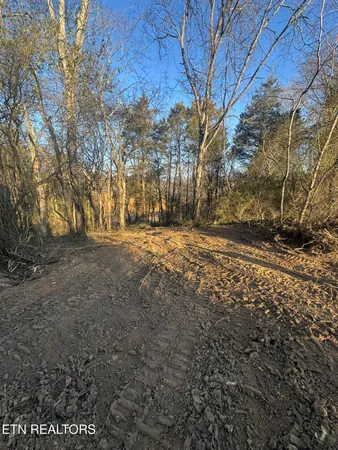 $150,000 | Lot 3 Whittle Road, New Market, TN 37820