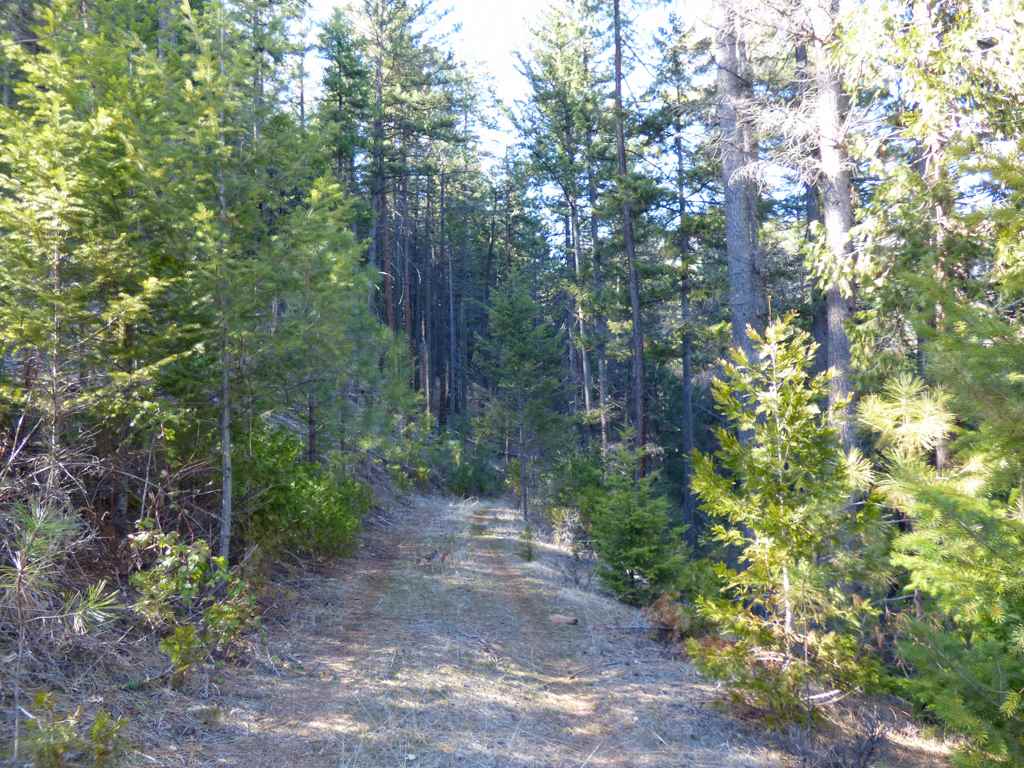 0 Greenhorn Road Yreka, CA 96097 - Photo 2 of 17 Gallery Image 2