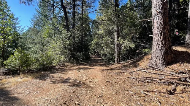 a view of a yard with snow on the road