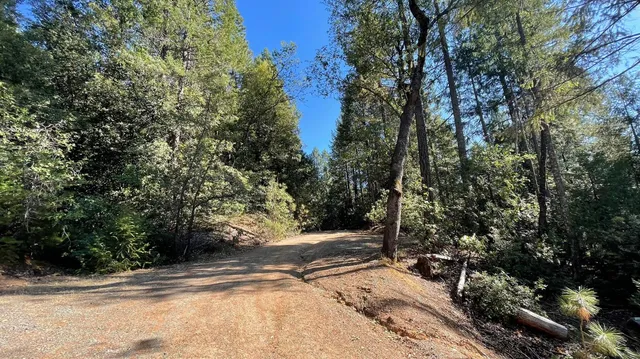 a view of a road with a trees