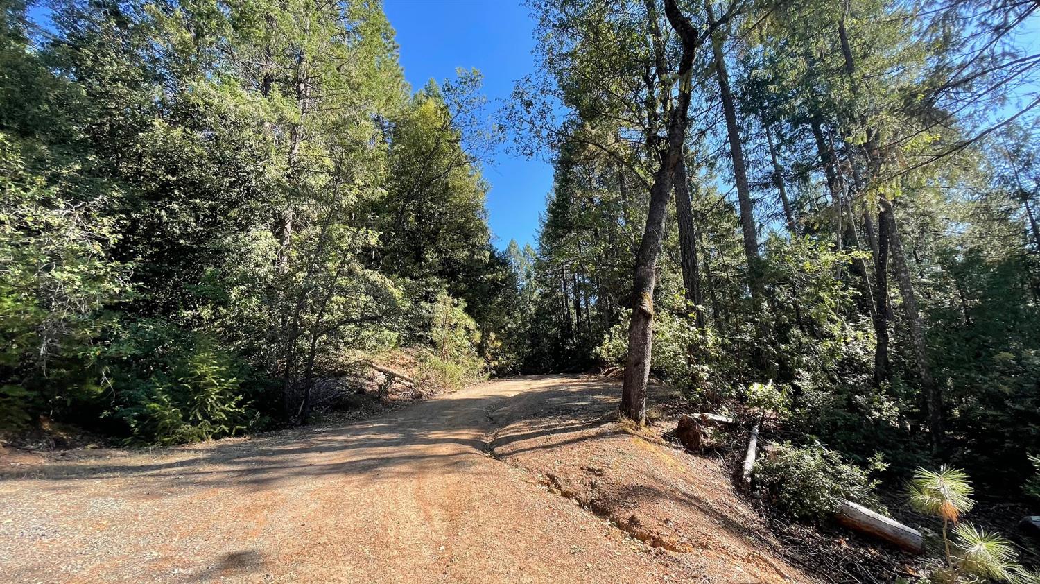 0 Yuletide Way Georgetown, CA 95634 - Photo 6 of 26 a view of a road with a trees