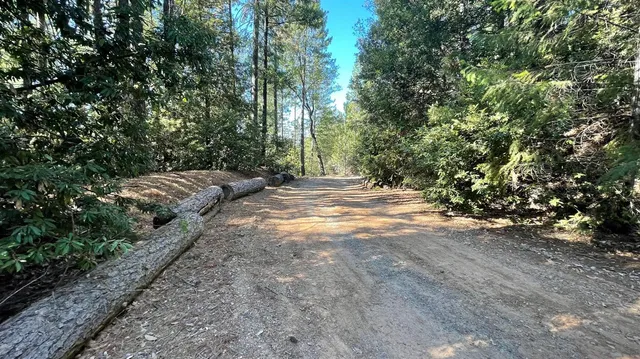 a view of backyard with green space