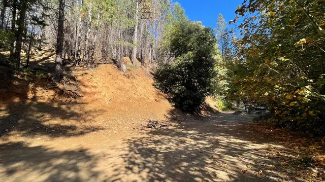 a view of a yard with a tree