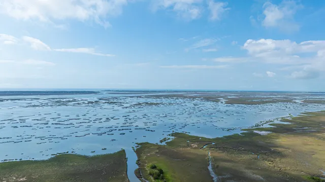 $1,098,000 | 3635 Pandora Drive, Mount Pleasant, SC 29466