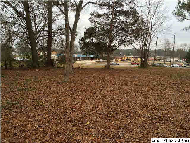 503 5th Street North Oneonta, AL 35121 - Photo 11 of 32