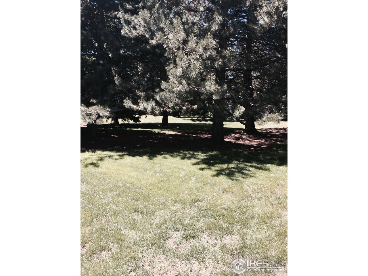 705 East Drake Road, Unit 38 Fort Collins, CO 80525 - Photo 2 of 2 a view of yard