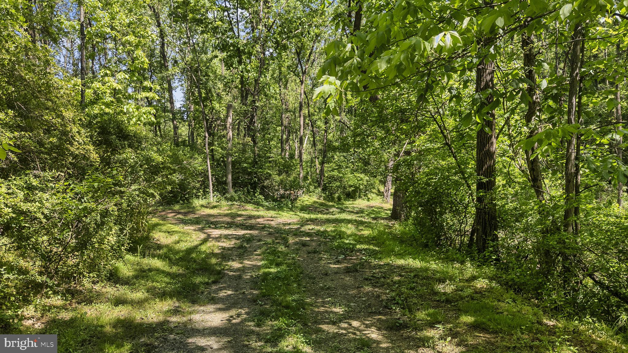 111 Garfield Road Leesport, PA 19533 - Photo 14 of 46 Serene woodland path awaits exploration.