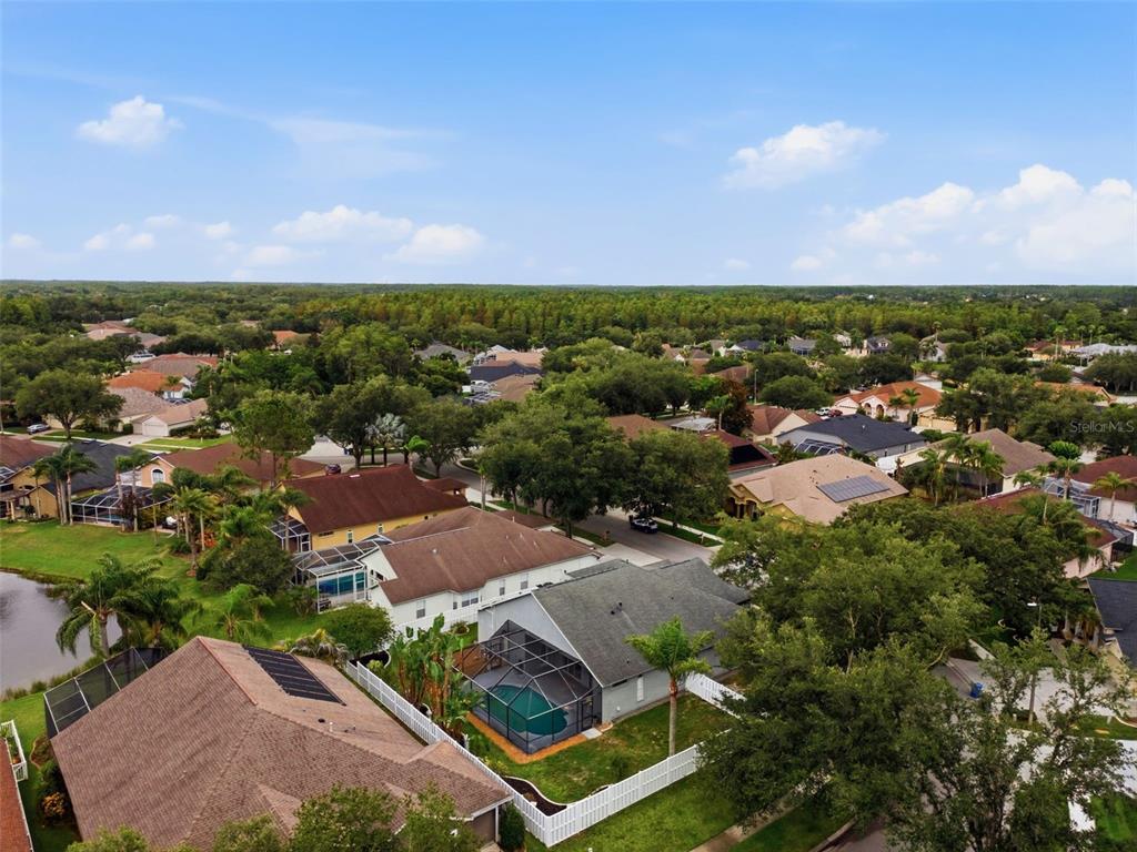 19348 Wind Dancer Street Lutz, FL 33558 - Photo 75 of 83