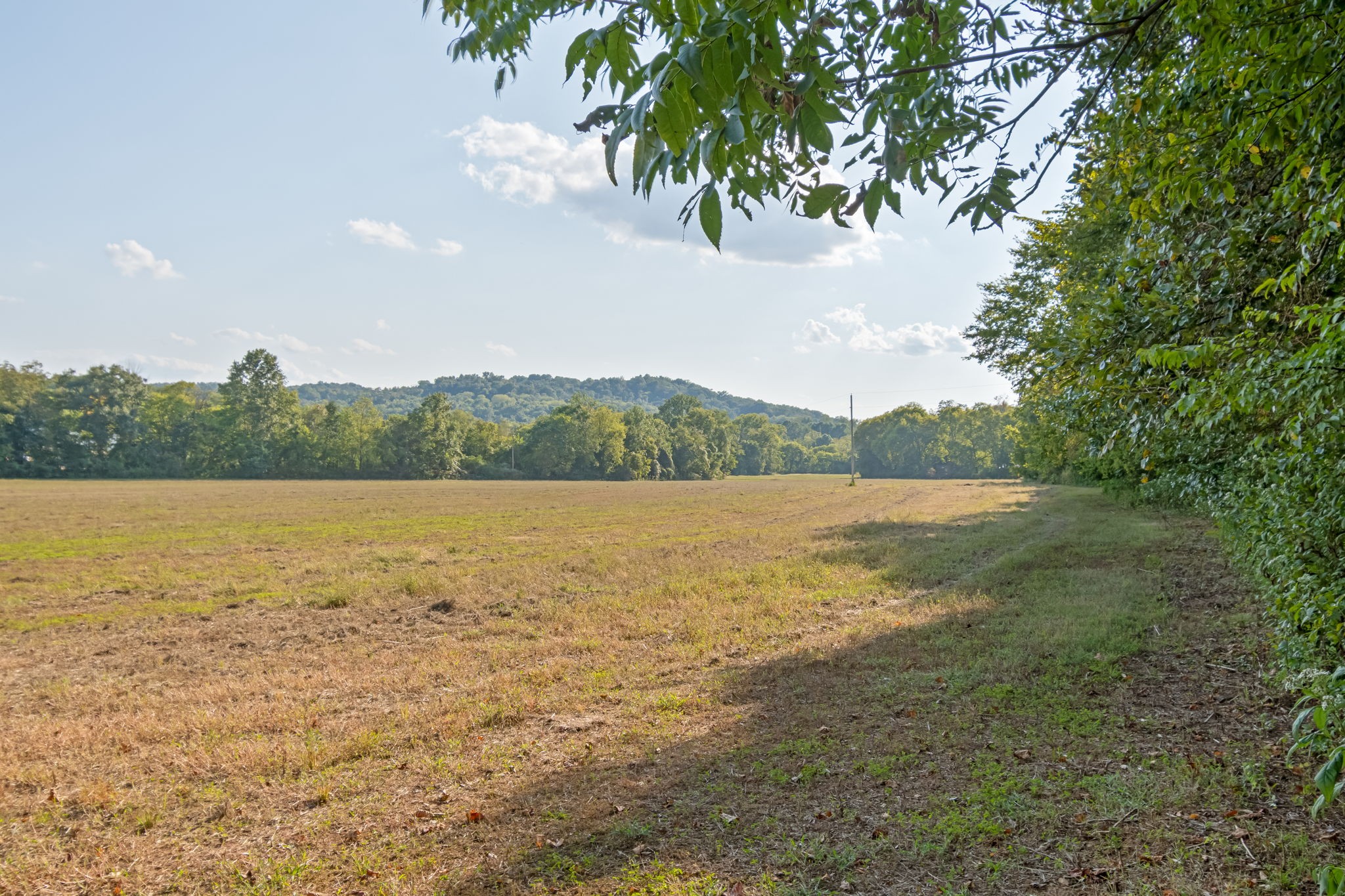 0 Craig Bridge Road Williamsport, TN 38487 - Photo 12 of 20 a view of lake with mountain