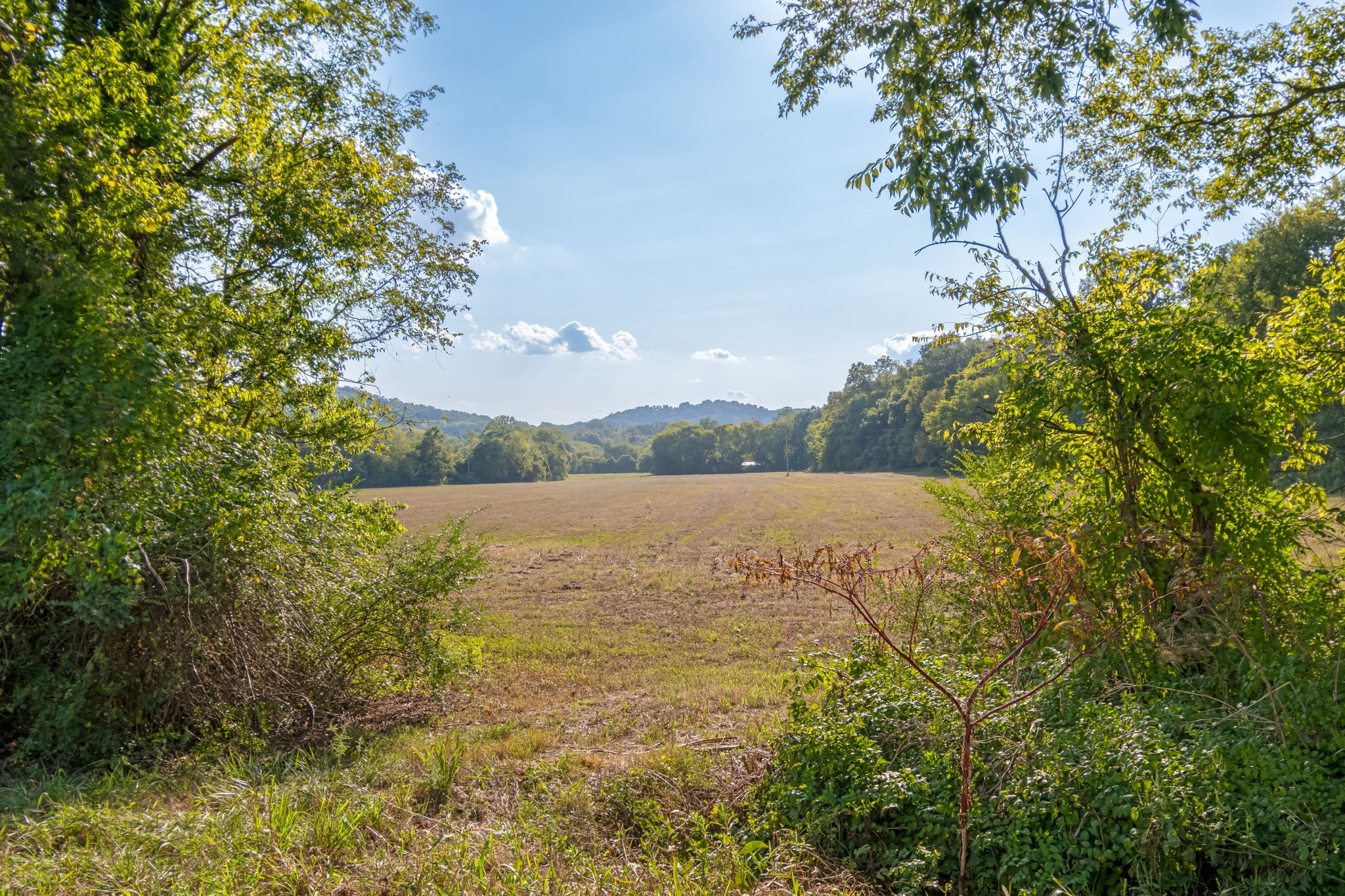 0 Craig Bridge Road Williamsport, TN 38487 - Photo 14 of 20 a view of lake with green space
