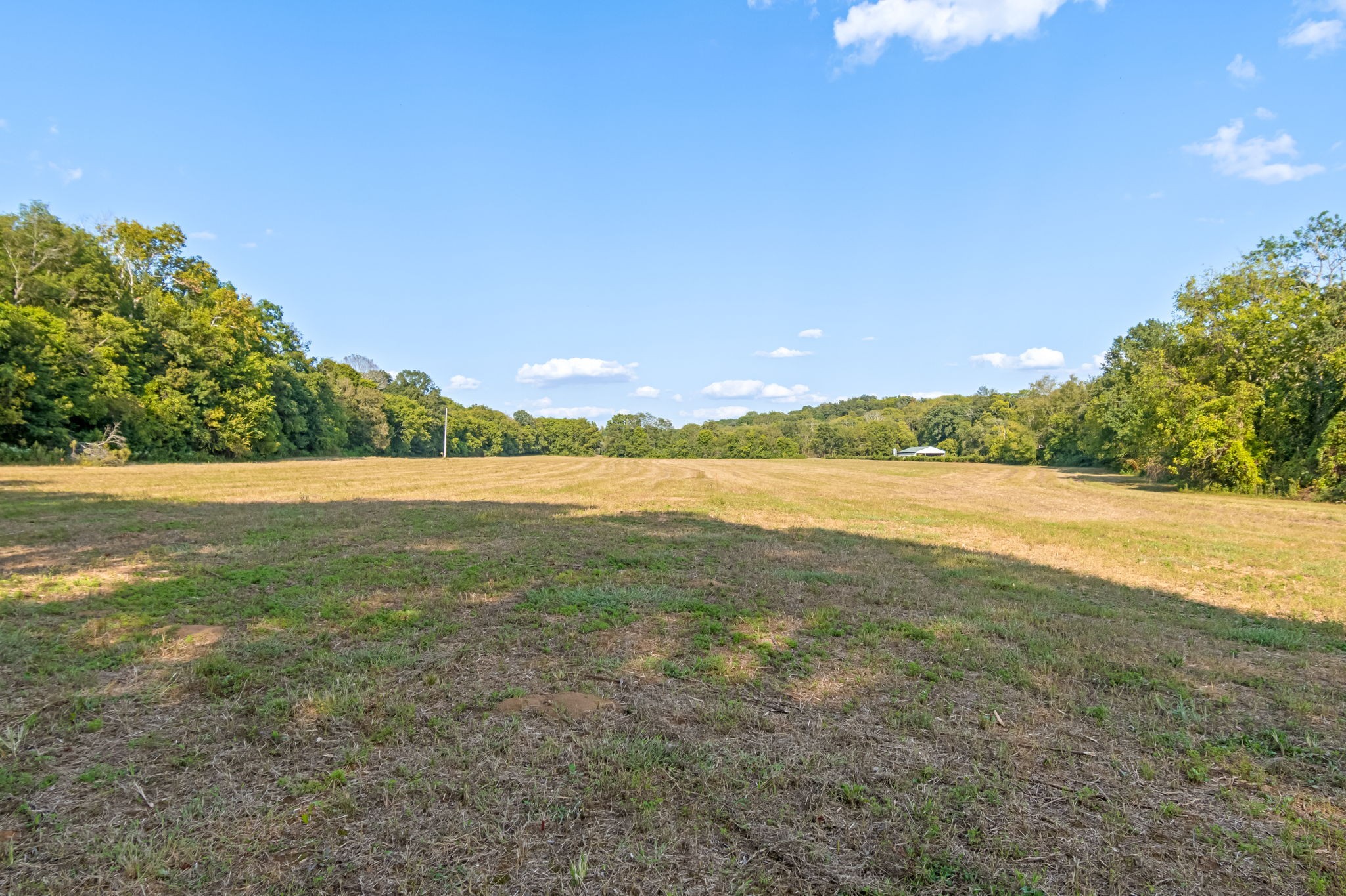0 Craig Bridge Road Williamsport, TN 38487 - Photo 18 of 20 a view of an outdoor space and a yard