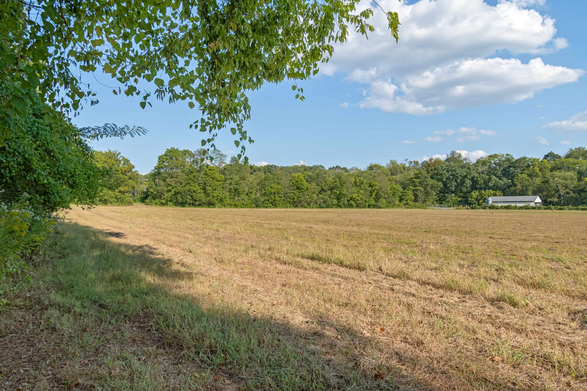 0 Craig Bridge Road Williamsport, TN 38487 - Photo 2 of 20 a view of lake and yard