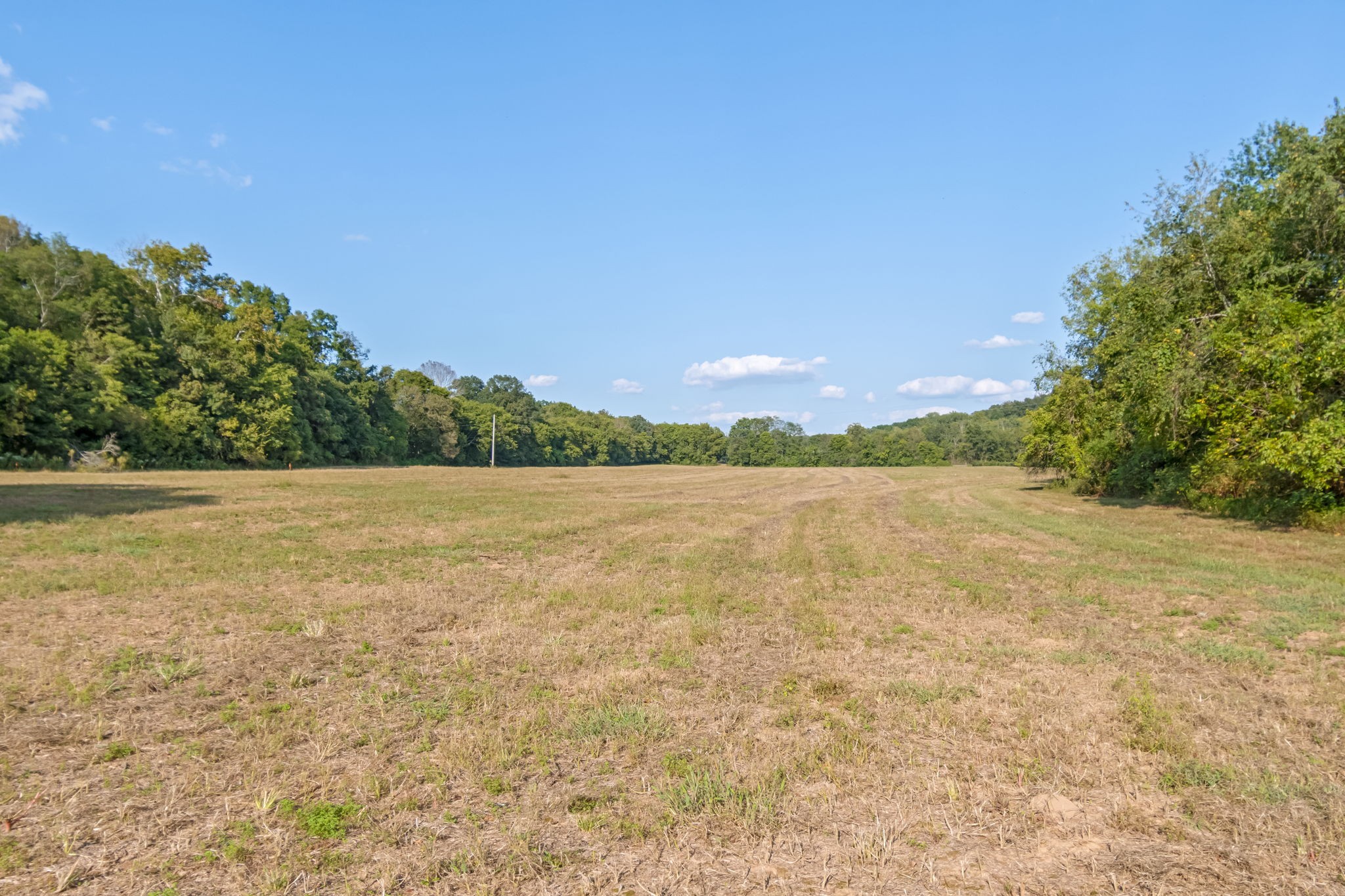 0 Craig Bridge Road Williamsport, TN 38487 - Photo 5 of 20 a view of a lake view