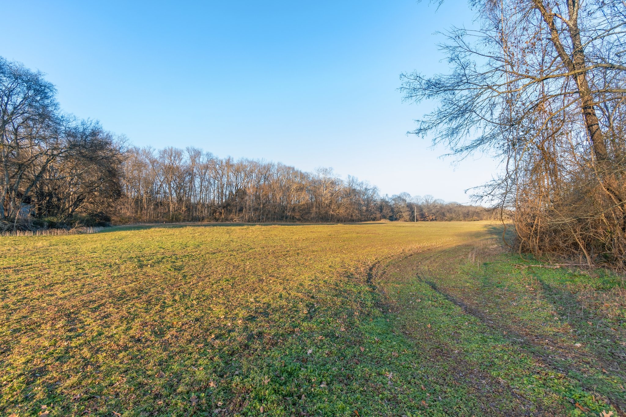0 Craig Bridge Road Williamsport, TN 38487 - Photo 8 of 20 a view of lake with outdoor space