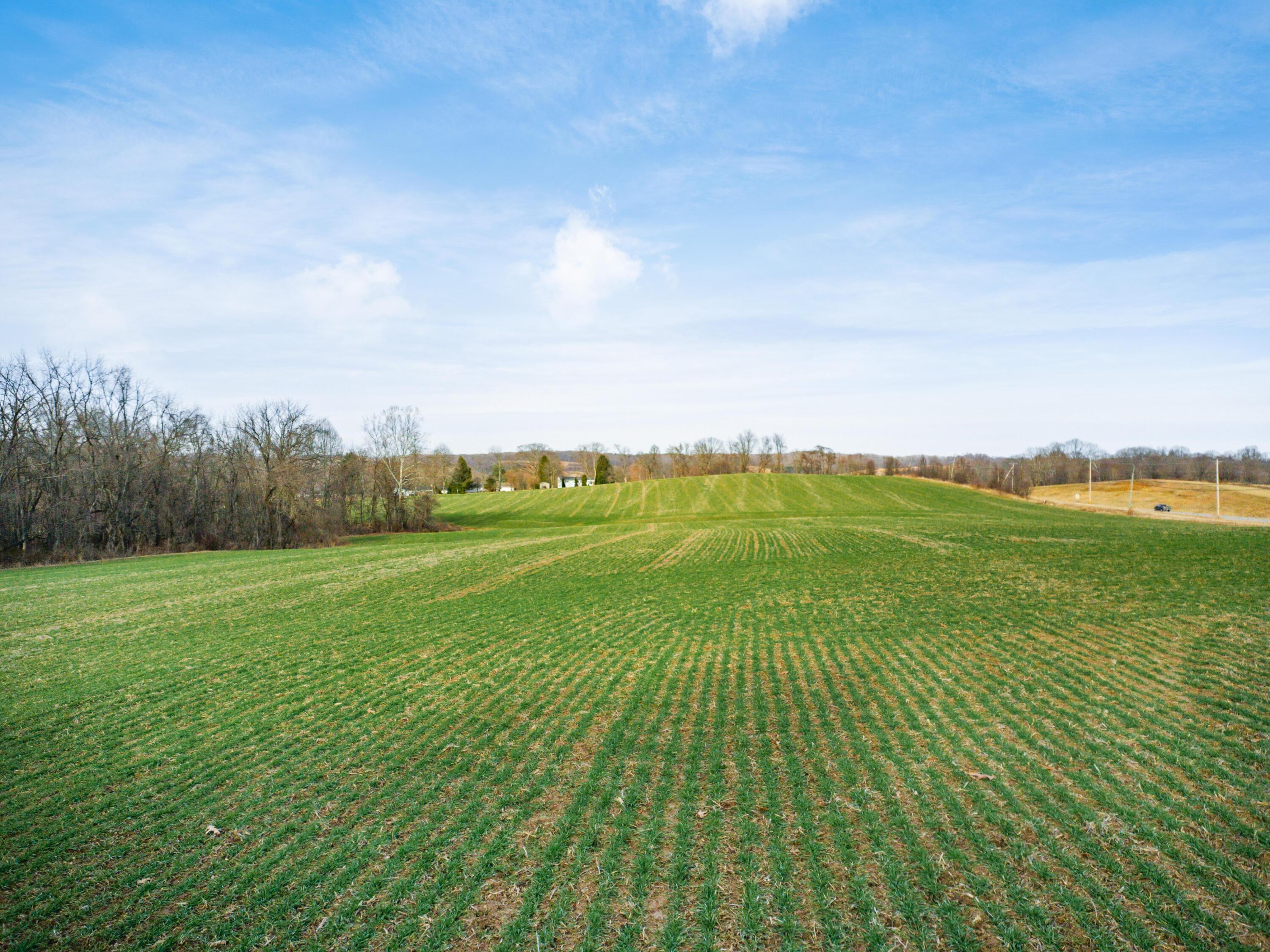 0 Carnation Road Nashport, OH 43830 - Photo 5 of 11 05-zj Carnation Rd005