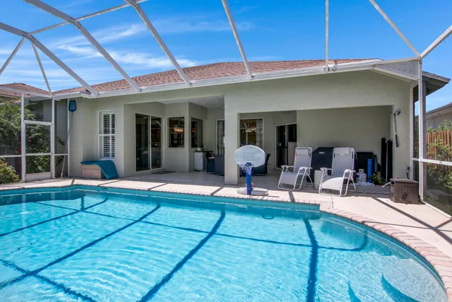 a view of a backyard with plants and a slide