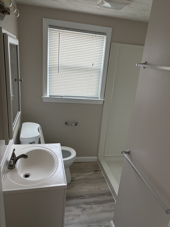 378 Union Street, Unit 2 Franklin, MA 02038 - Photo 3 of 5 a bathroom with a sink a toilet and a mirror