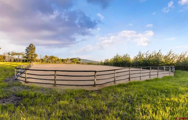 a view of a terrace with a bench