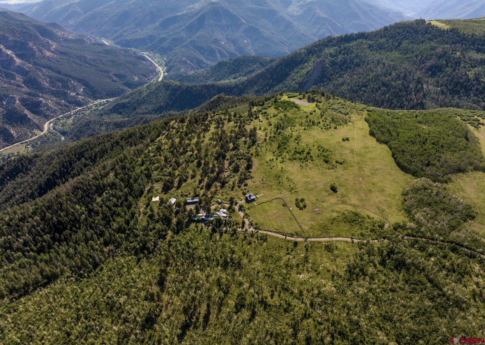3289 Laughing Dog Road Placerville, CO 81430 - Photo 35 of 35 a view of a yard