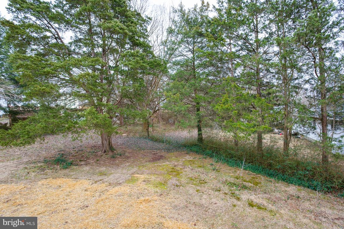 303 North Duey Road Remington, VA 22734 - Photo 27 of 30 View from Deck