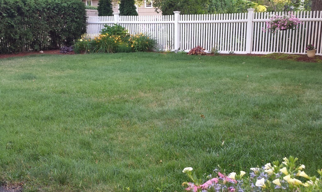 17 Charles Road, Unit 17 Winchester, MA 01890 - Photo 12 of 40