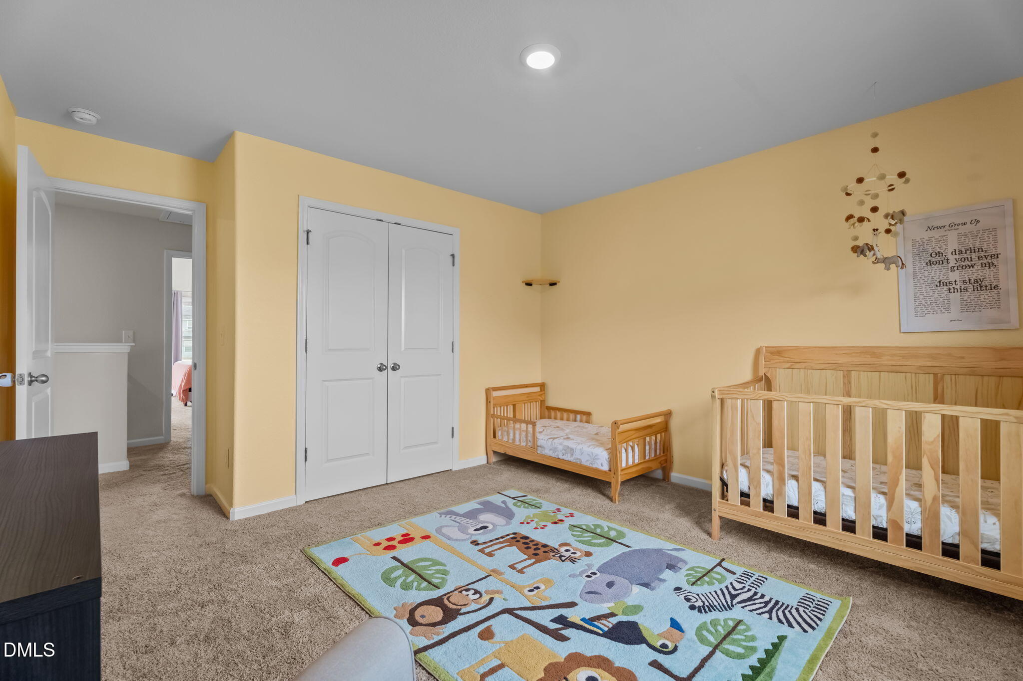 357 Gourd Street Zebulon, NC 27597 - Photo 33 of 50 a bedroom with furniture and a rug