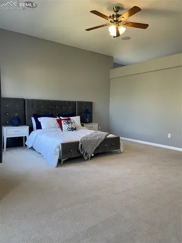 a bed room with a bed and a ceiling fan