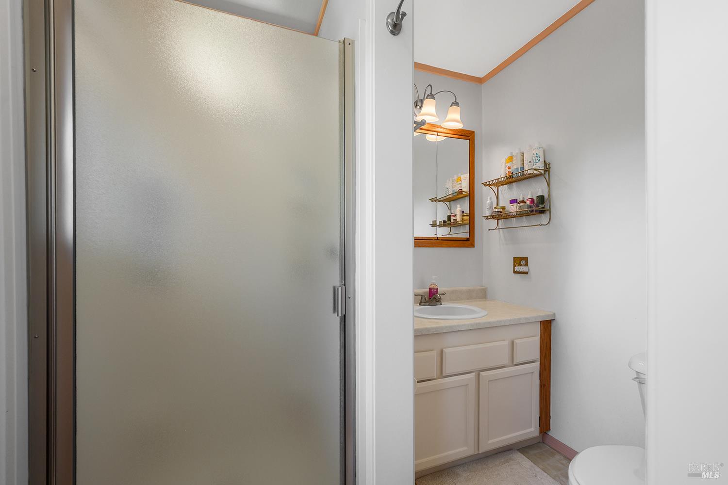 7350 Fircrest Avenue Sebastopol, CA 95472 - Photo 20 of 33 Bathroom off of primary bedroom with step in shower.
