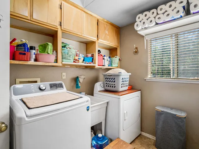 a view of a plants and trees